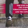 Reducing Smoking Harms: THR and The COP10 Summit