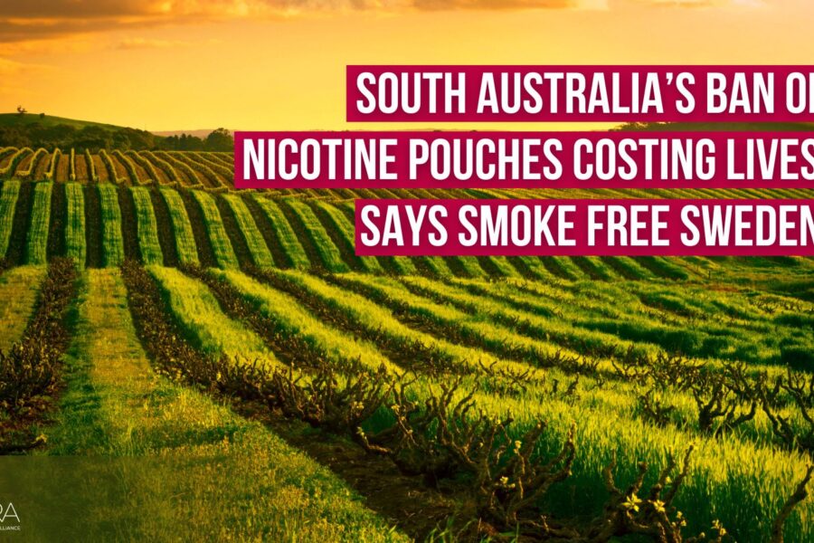 South Australia nicotine pouch ban